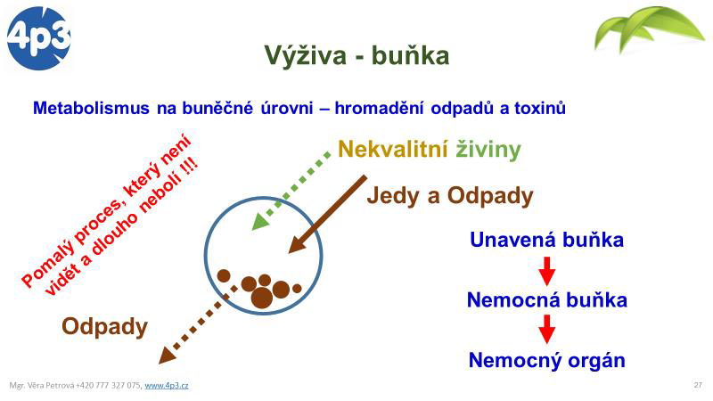 Zdraví = zdavé buňky_2